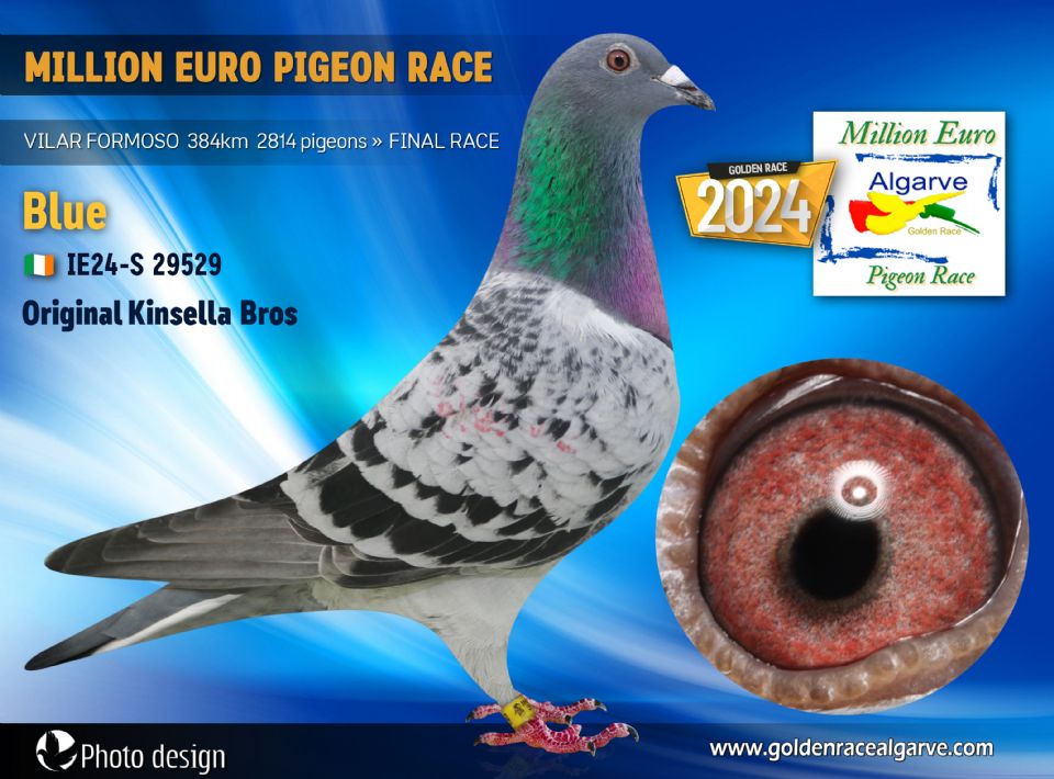 IE24-S 29529 - MACHO - Kinsella Bros