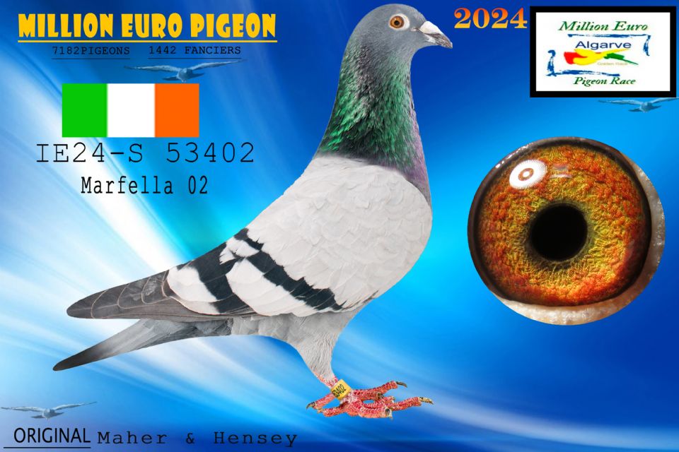 IE24-S 53402 - Maher & Hensey