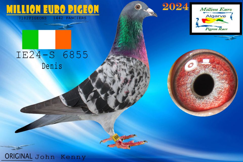 IE24-S 6855 - MACHO - John Kenny