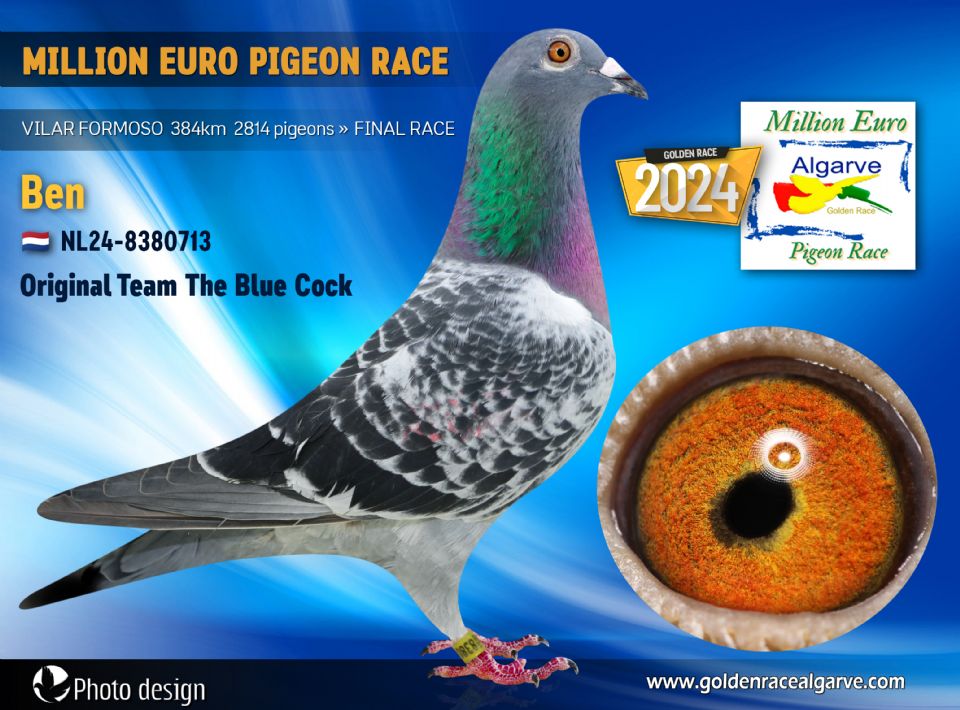 NL24-8380713 - MACHO - Team The Blue Cock