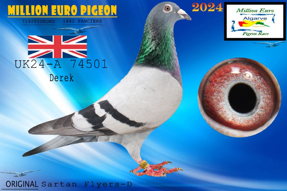 UK24-A 74501 - MACHO - Sartan Flyers