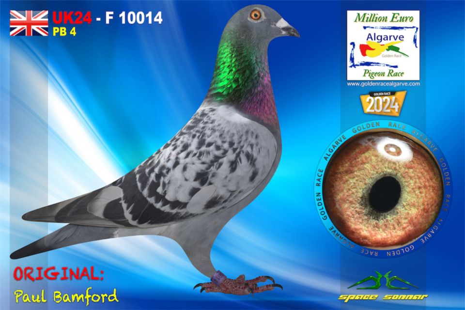 UK24-F 10014- MACHO - Paul Bamford