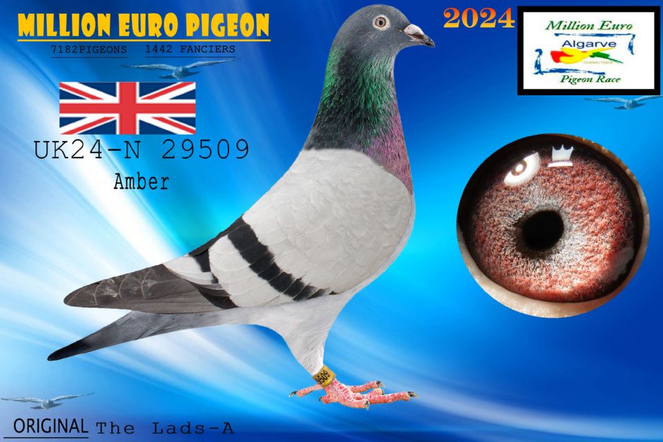 UK24-N 29509 - HEMBRA - The Lads-A