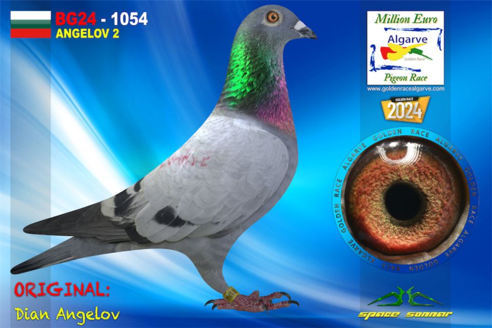 BG24-1054 - HEMBRA - Dian Angelov-A