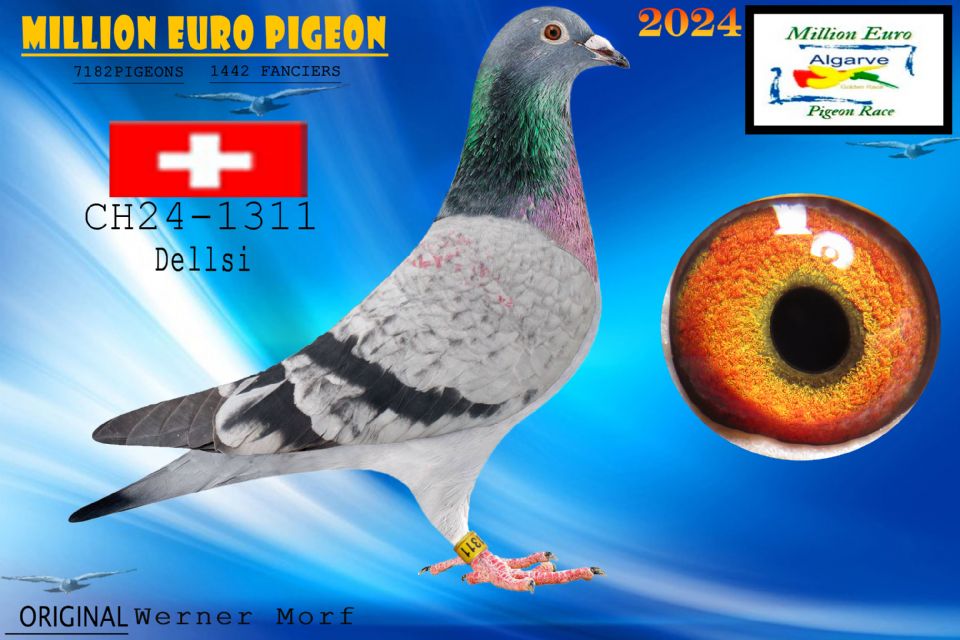CH24-1311 - HEMBRA - Werner Morf