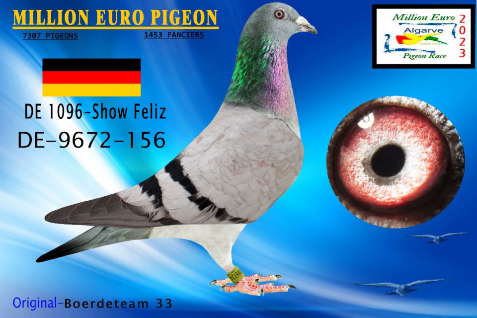 DE-9672-156 - MACHO - Boerdeteam 33