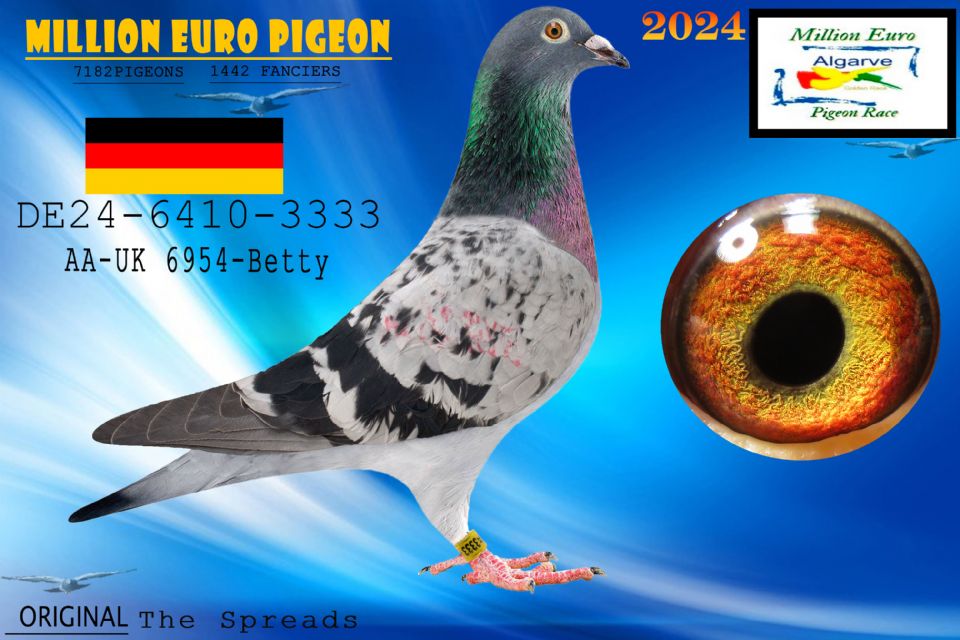 DE24-6410-3333 - HEMBRA - The Spreads