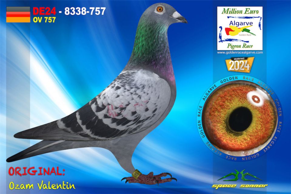 DE24-8338-757 - MACHO - Ozam Valentin-A