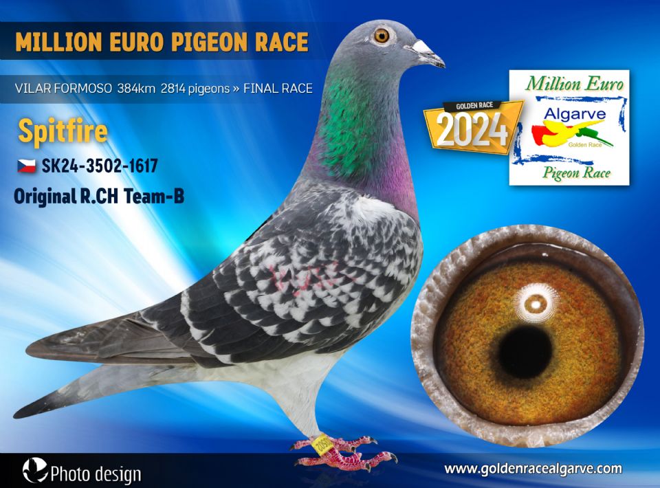 SK24-3502-1617 - MACHO - R.CH Team-B