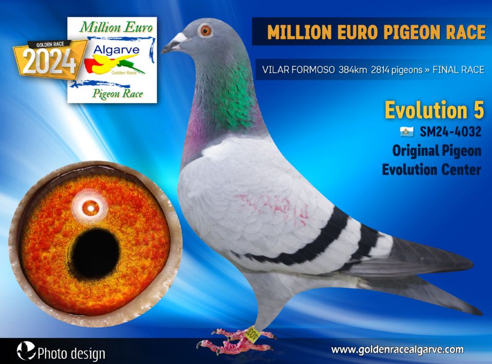 SM24-4032 - HEMBRA - Pigeon Evolution Center