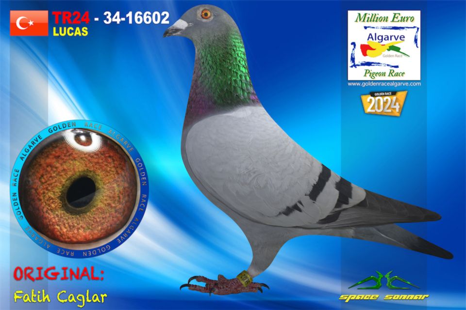 TR24-34-16602 - MACHO - Fatih Caglar