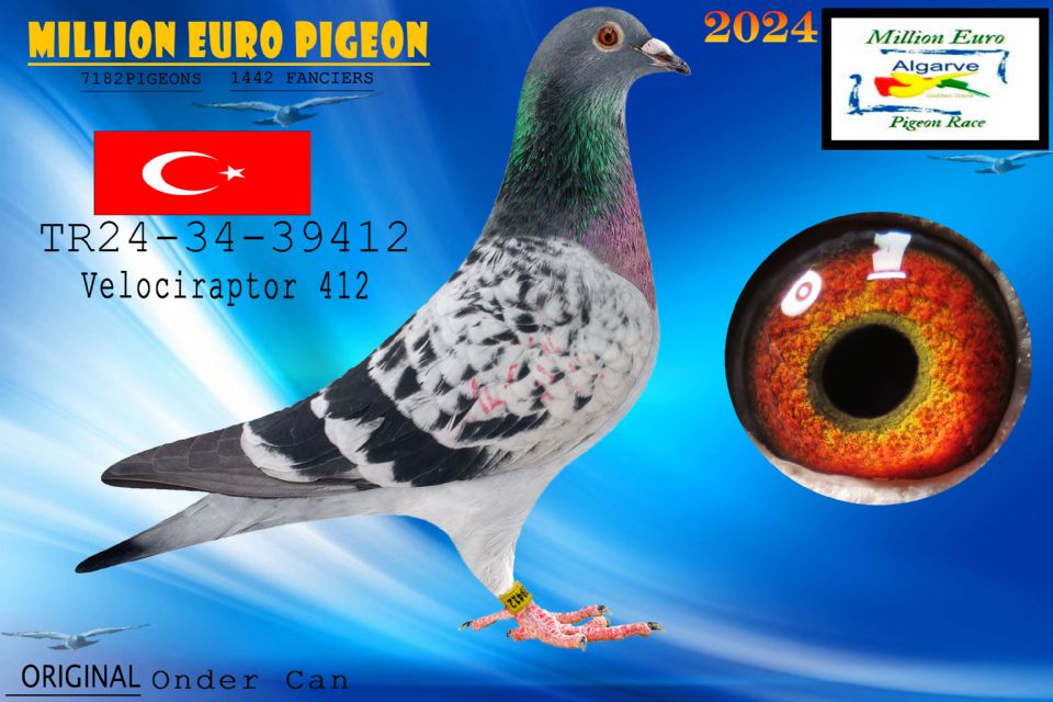TR24-34-39412 - MACHO - Onder Can