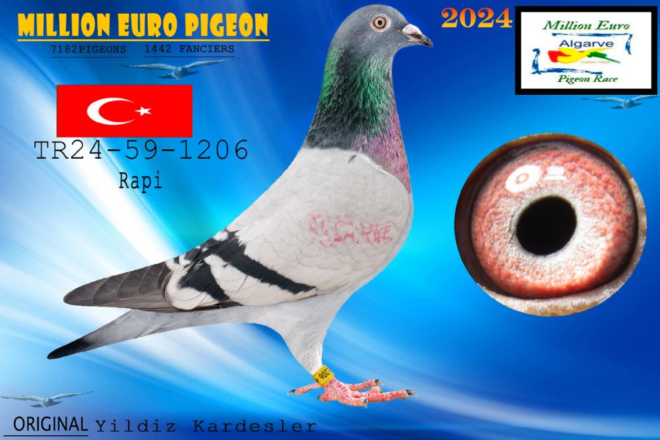 TR24-59-1206 - HEMBRA - Yildiz Kardesler