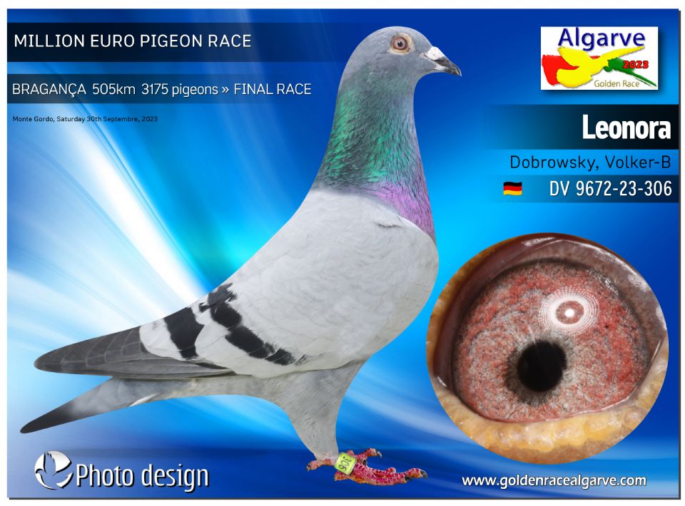DE-9672-306 - HEMBRA - Dobrowsky, Volker-B