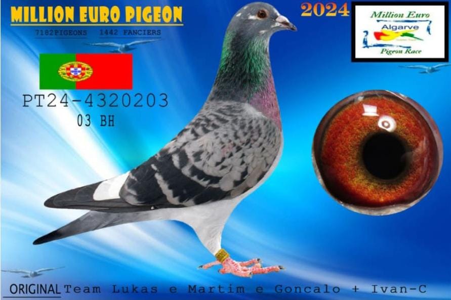 PT-4320203/24 - HEMBRA -LUKAS & MARTIN & GONCALO & IVAN