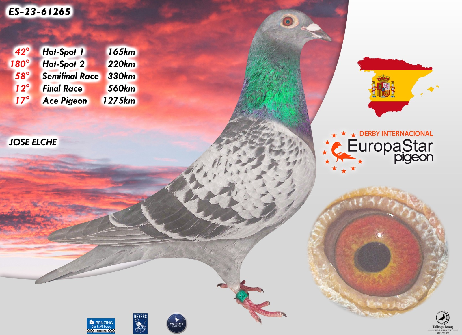 ESP-61265/23 - HEMBRA - JOSE ELCHE