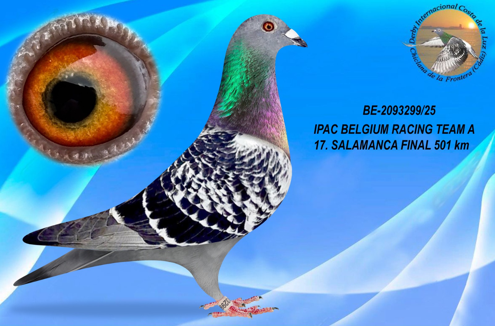 BE-2093299/25 - MACHO - IPAC BELGIUM RACING TEAM A - 17ª CLASIFICADA