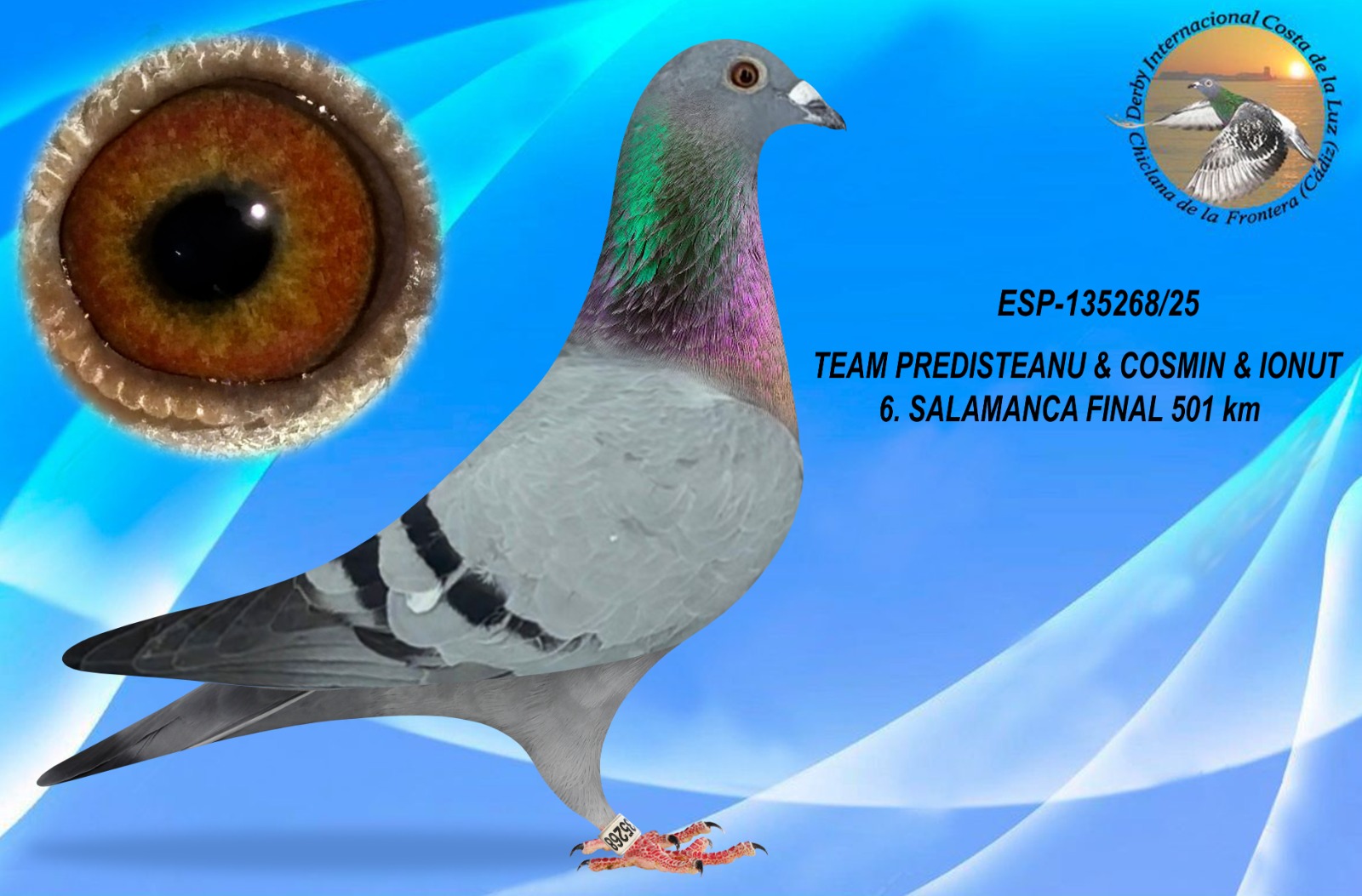 ESP-135268/25 - HEMBRA - TEAM PREDISTEANU & COSMIN & IONUT
