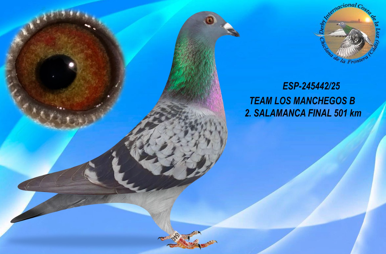 ESP-245442/25 - MACHO - TEAM LOS MANCHEGOS B
