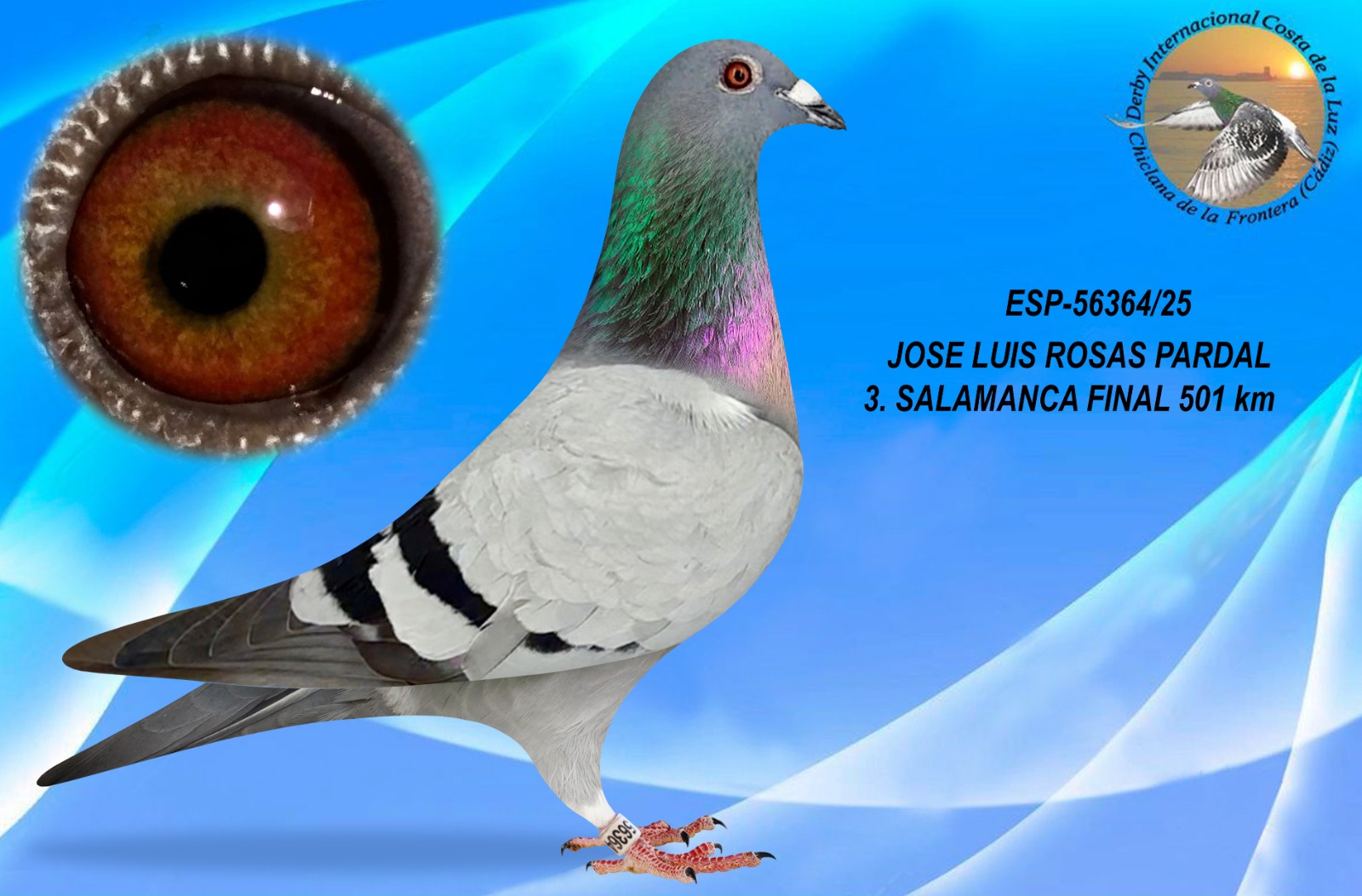 ESP-56364/25 - HEMBRA - JOSE LUIS ROSAS PARDAL