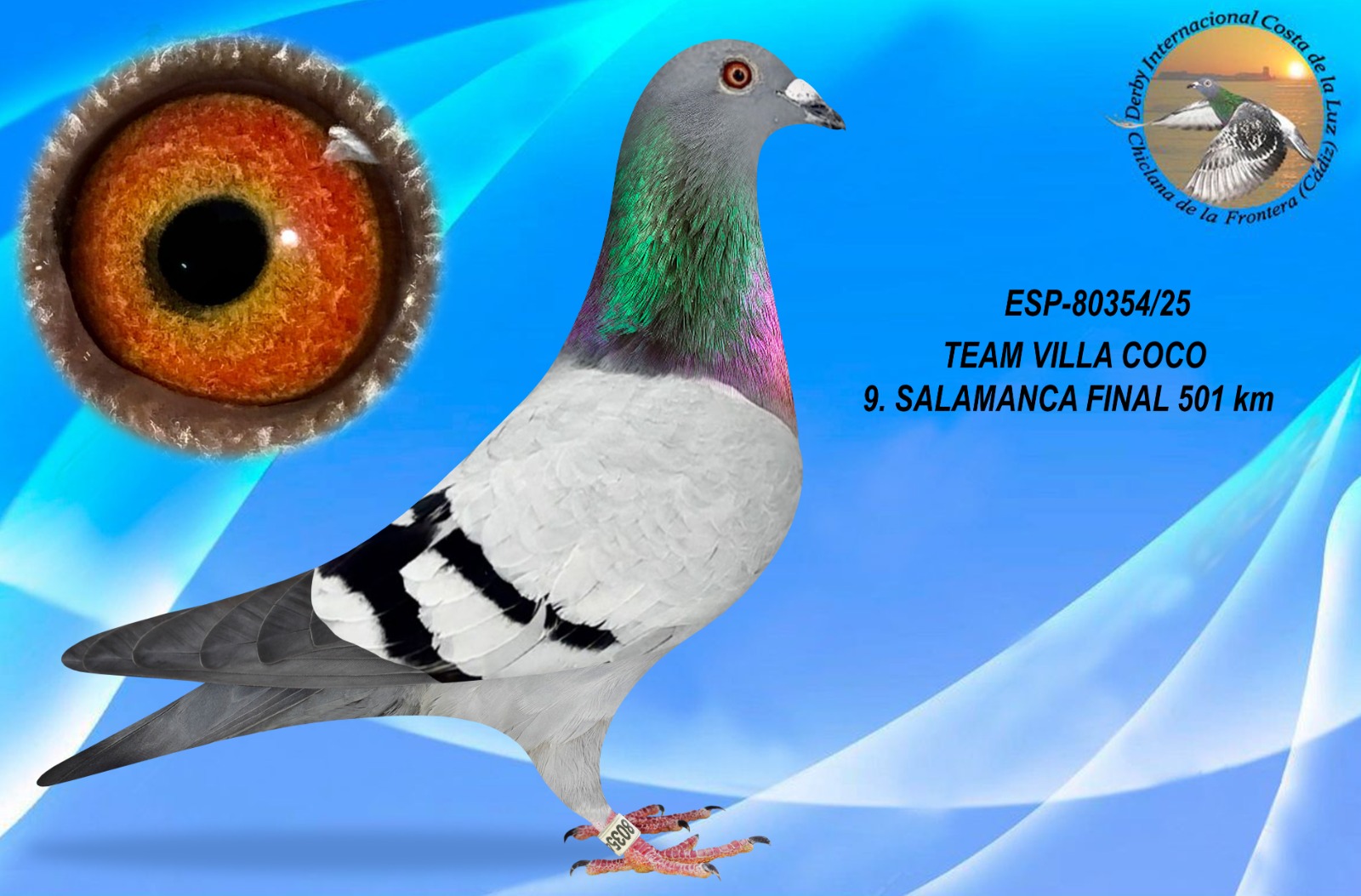 ESP-80354/25 - MACHO - TEAM VILLA COCO - 9º CLASIFICADO