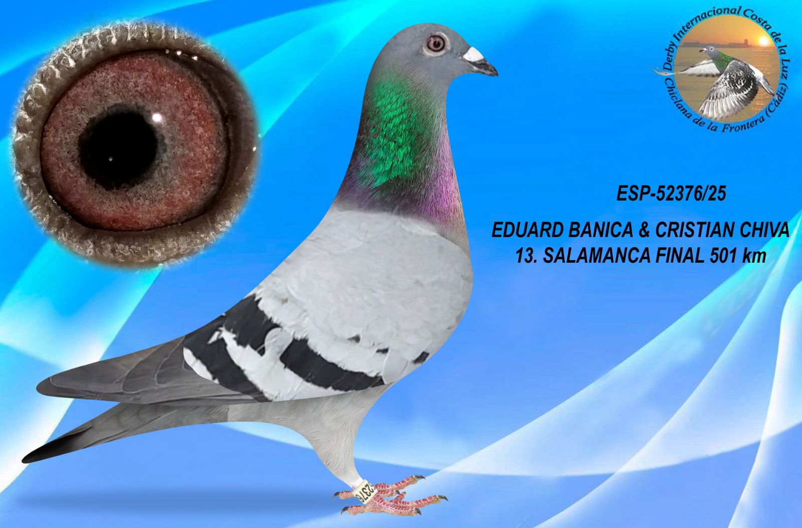 ESP-52376/25 - MACHO - EDUARD BANICA & CRISTIAN CHIVA - 13ª CLASIFICADA