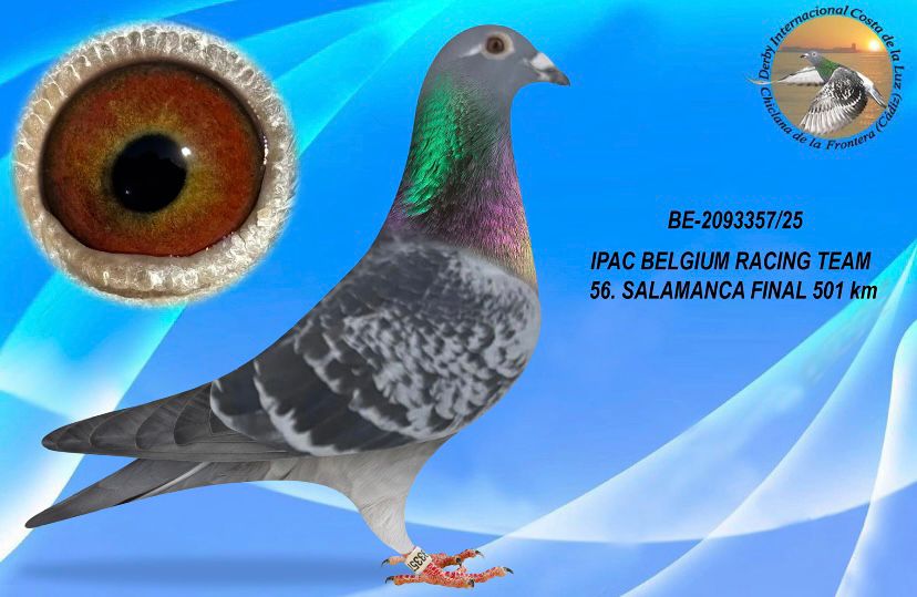 BE-2093357/25 - MACHO - IPAC BELGIUM RACING TEAM B - 56º CLASIFICADA
