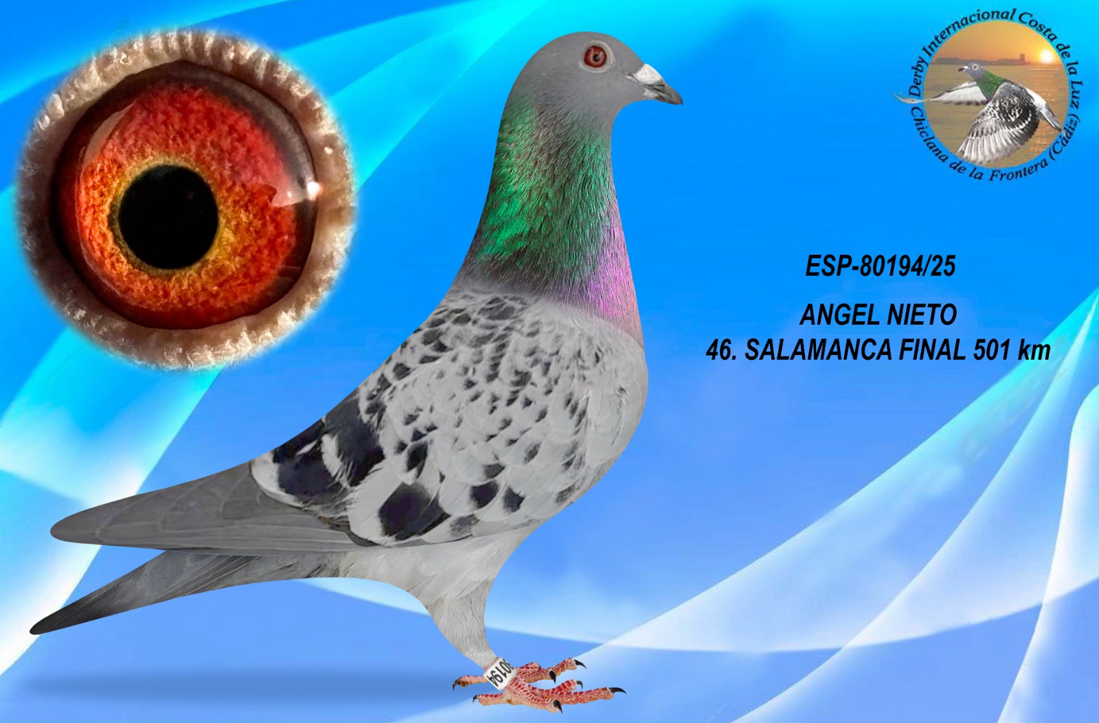 ESP-80194/25 - MACHO - ANGEL NIETO - 46º CLASIFICADA