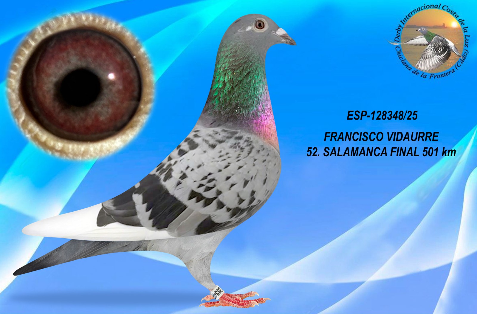 ESP-128348/25 - HEMBRA - FRANCISCO VIDAURRE - 52º CLASIFICADA