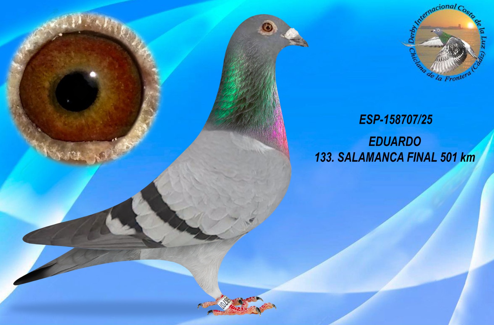 ESP-158707/25 - MACHO - EDUARDO - 133 CLASIFICADA