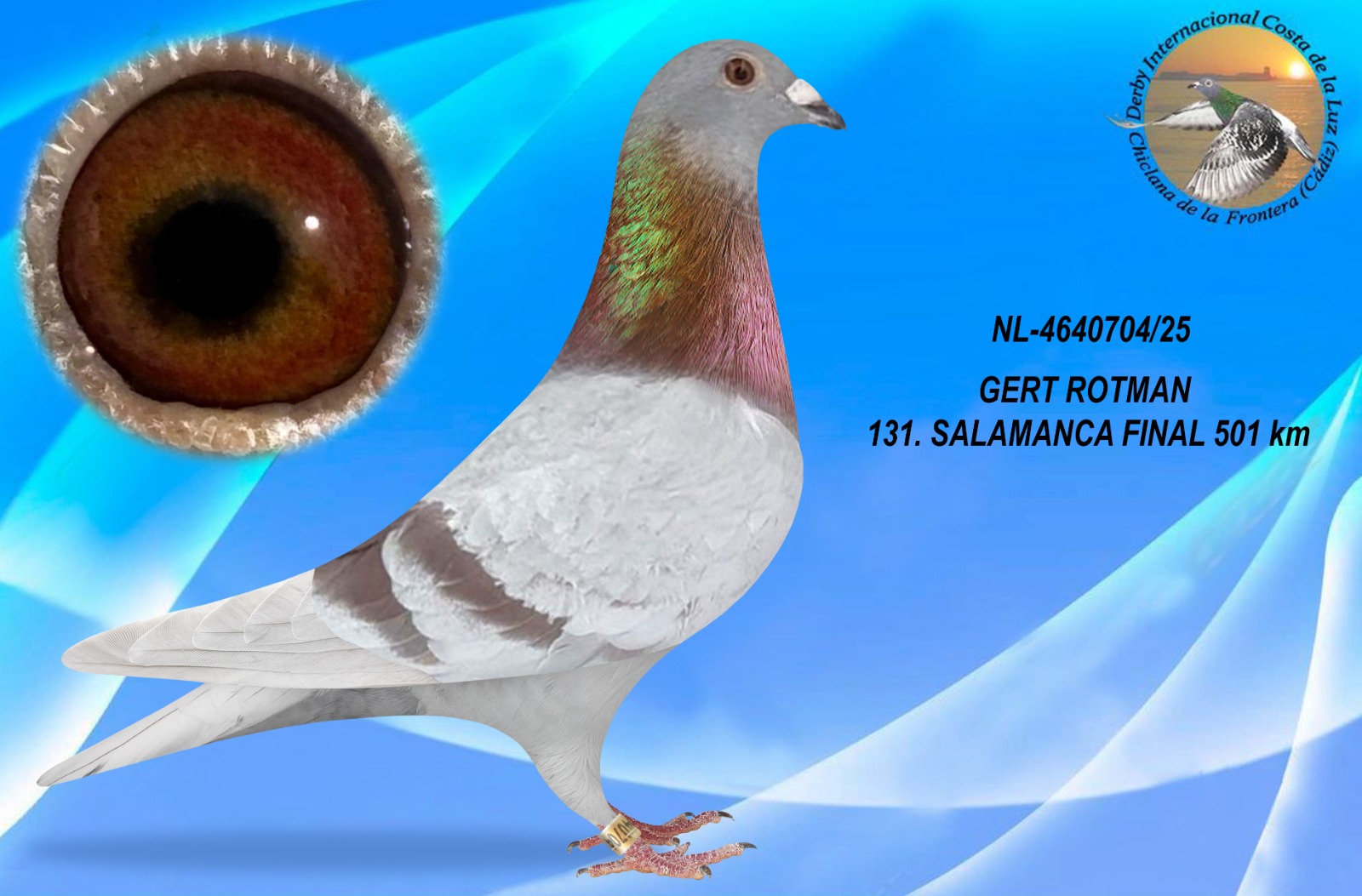 NL-4640704/25 - MACHO - GERT ROTMAN A - 131º CLASIFICADA