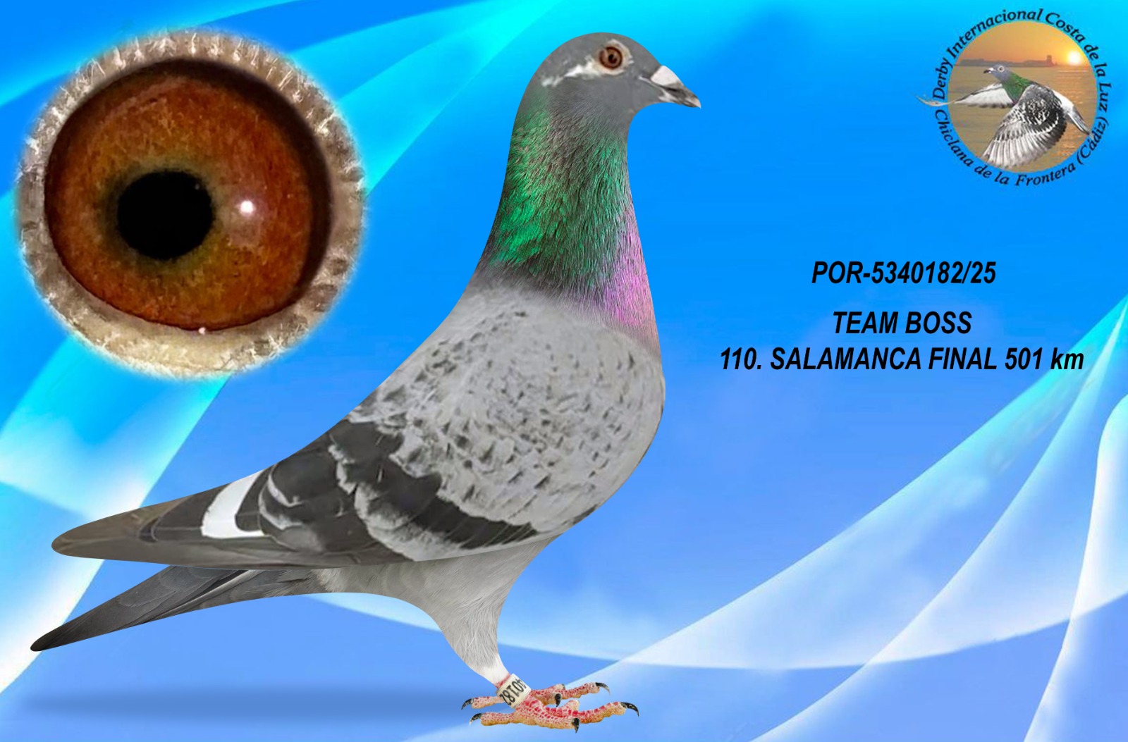 POR-5340182/25 - MACHO - TEAM BOSS - 110º CLASIFICADA