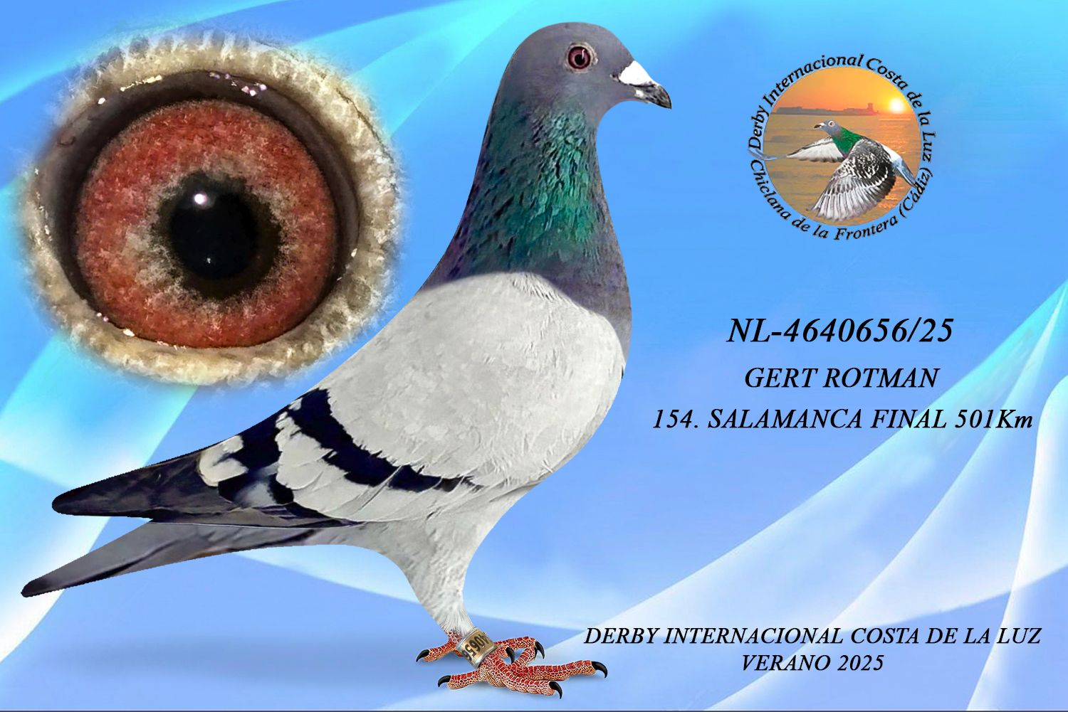 NL-4640656/25 - MACHO - GERT ROTMAN - 154ª CLASIFICADA