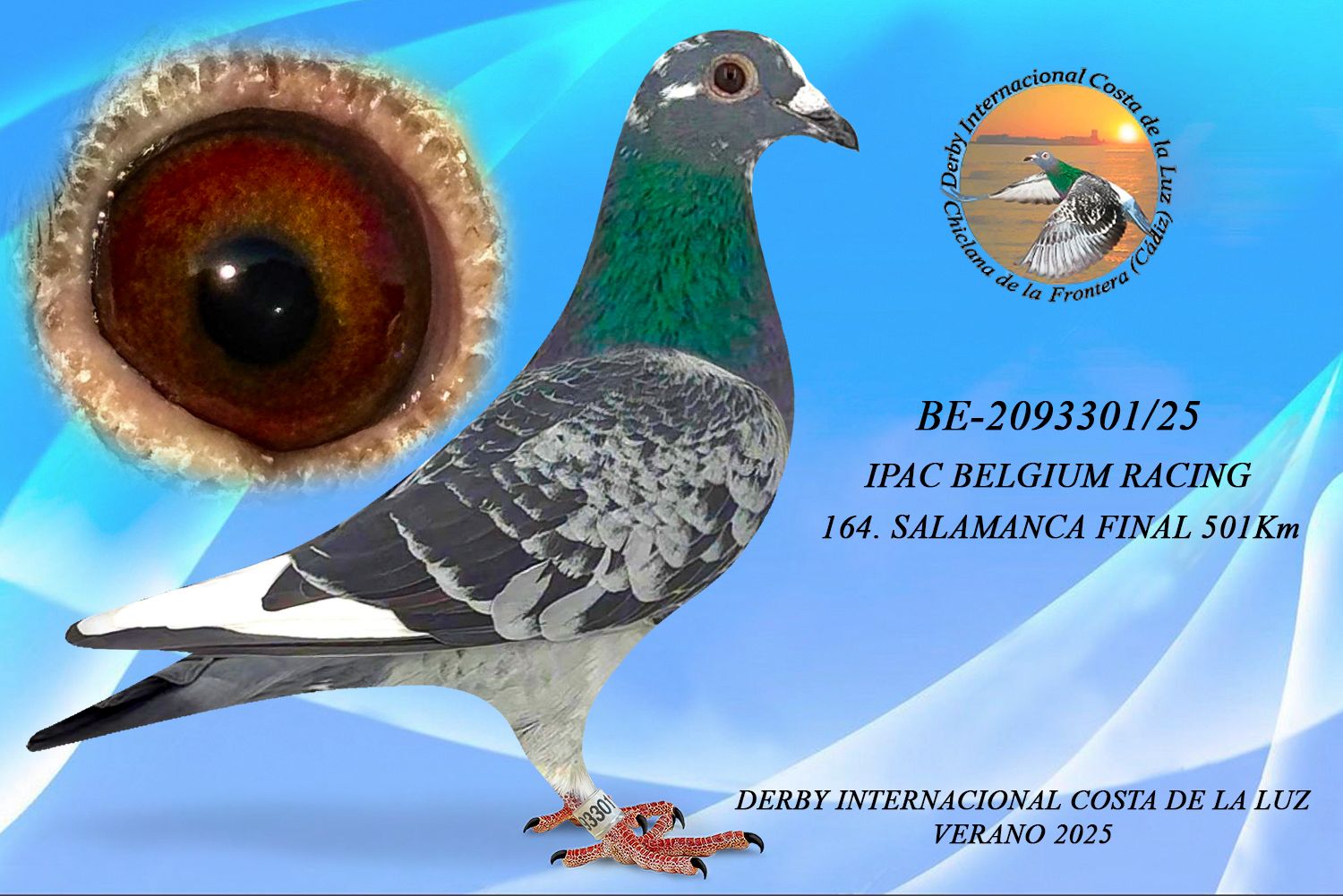 BE-2093301/25 - MACHO - IPAC BELGIUM RACING TEAM -164ª CLASIFICADA