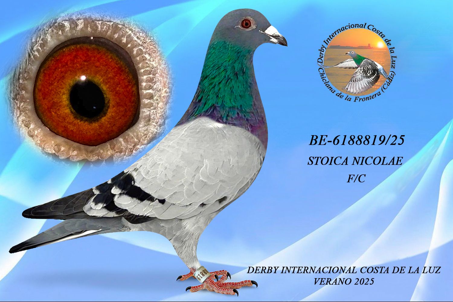 BE-6188819/25 - MACHO - STOICA NICOLAE  - FC