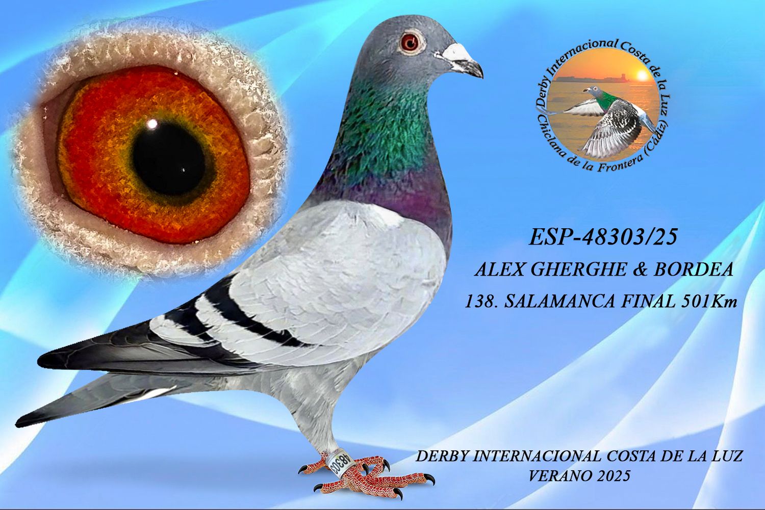 ESP-48303/25 - MACHO - ALEX GHERGHE & BORDEA - 138ª CLASIFICADA