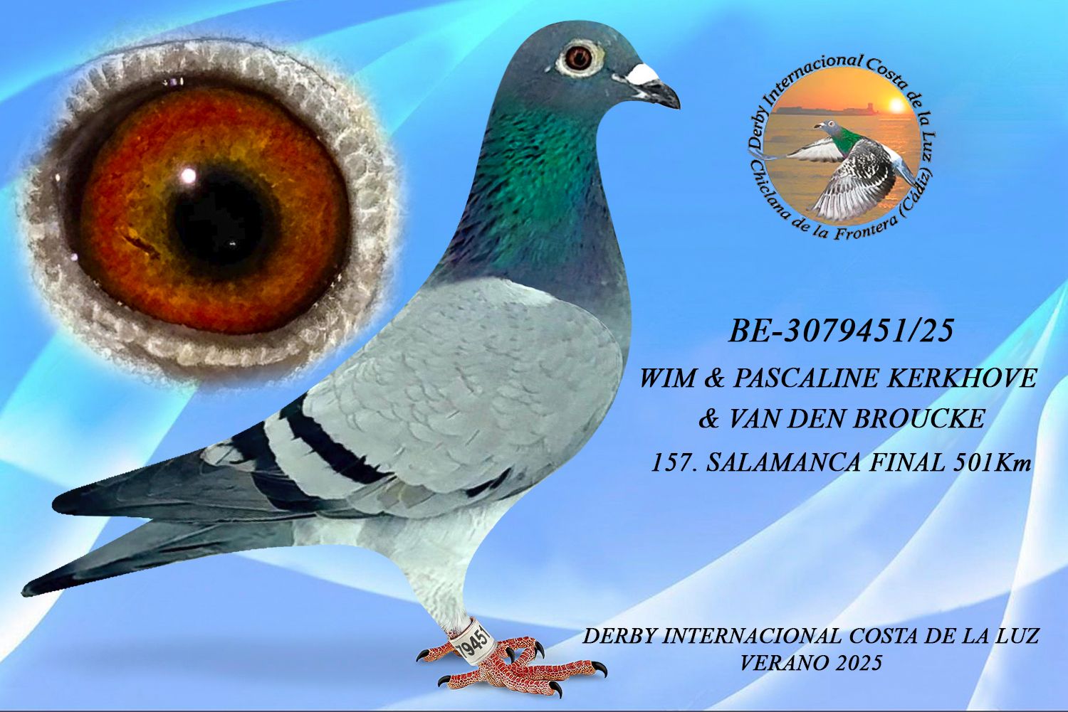 BE-3079451/25 - HEMBRA - WIM & PASCALINE KERKHOVE & VAN DEN BROUCKE - 157ª CLASIFICADA