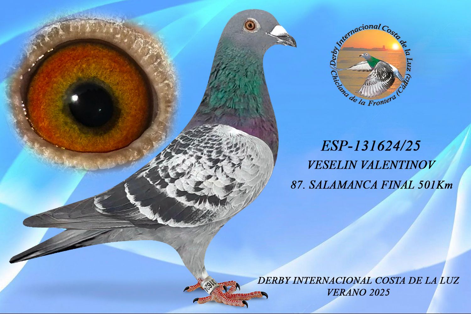 ESP-131624/25 - MACHO - VESELIN VALENTINOV -81 CLASIFICADA