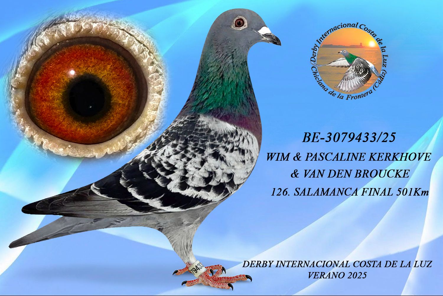 BE-3079433/25 - HEMBRA - WIM & PASCALINE KERKHOVE & VAN DEN BROUCKE -126ª CLASIFICADA