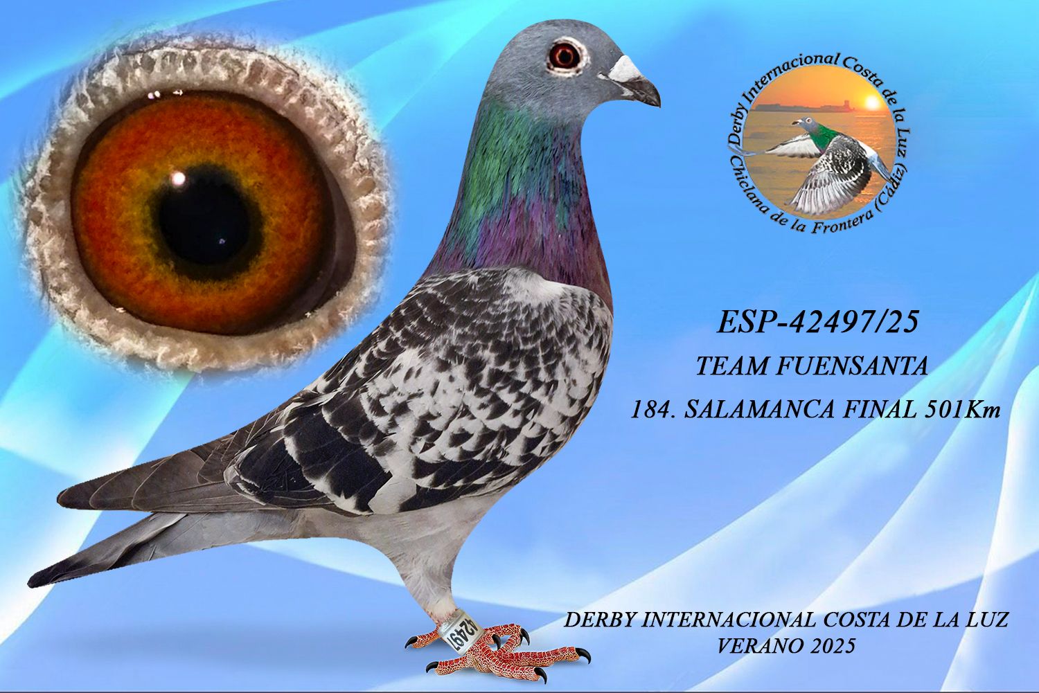 ESP-42497/25 - MACHO - TEAM FUENSANTA-184ª CLASIFICADA