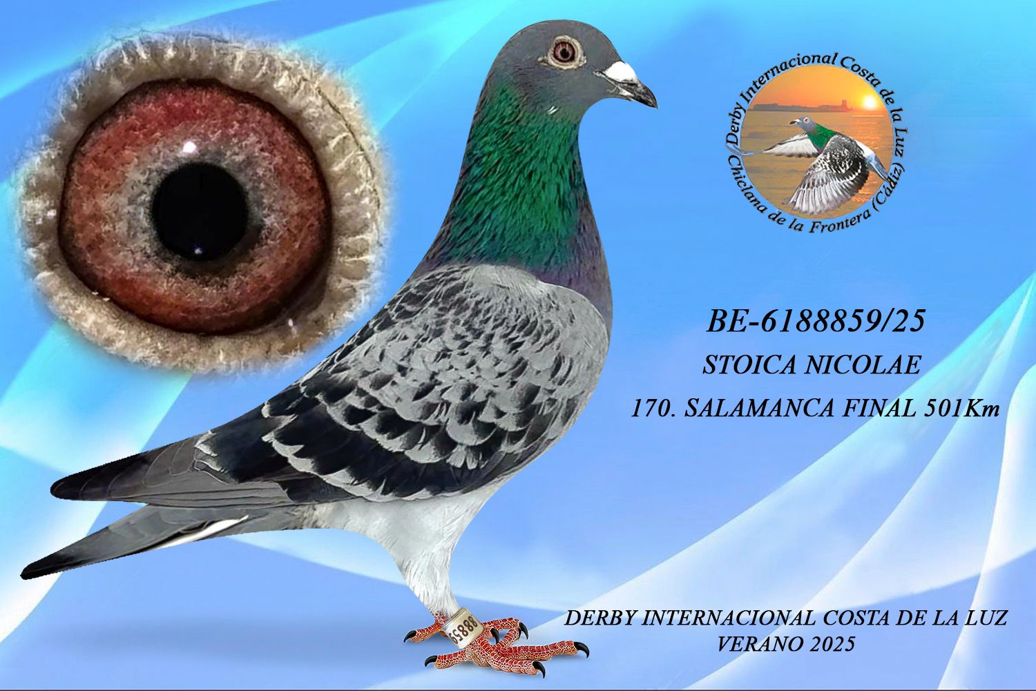 BE-6188859/25 - HEMBRA - STOICA NICOLAE -170ª CLASIFICADA