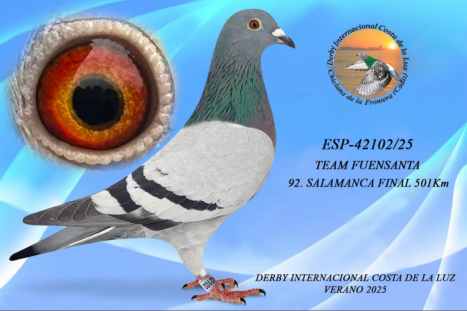 ESP-42102/25 - HEMBRA - TEAM FUENSANTA - 92ª CLASIFICADA