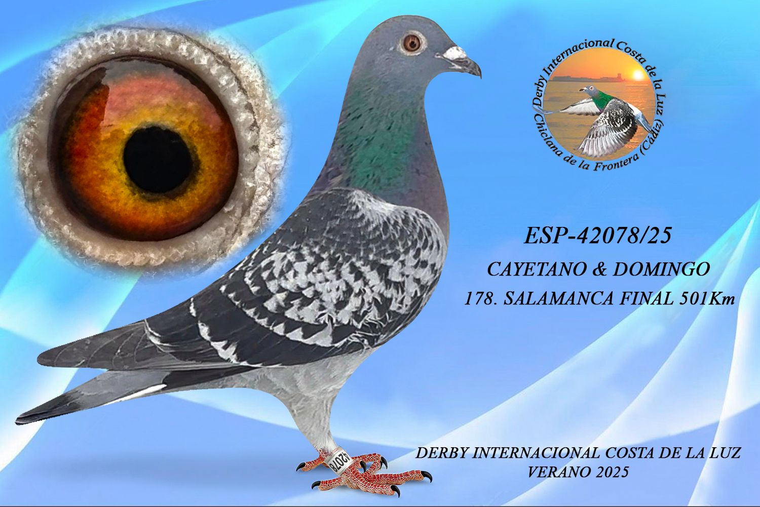 ESP-42078/25 -HEMBRA - CAYETANO & DOMINGO - 178ª CLASIFICADA