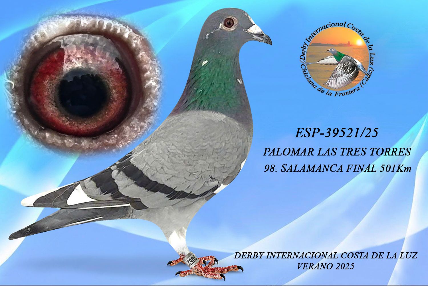 ESP-39521/25 - HEMBRA - PALOMAR LAS TRES TORRES