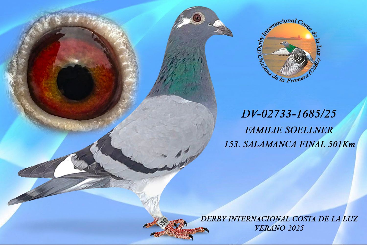 DV-02733-1685/25 - HEMBRA - FAMILIE SOELLNER - 153 -ª CLASIFICADA