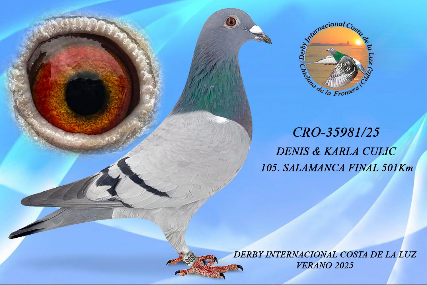 CRO-35981/25 - HEMBRA - DENIS & KARLA CULIC - 105ª CLASIFICADA