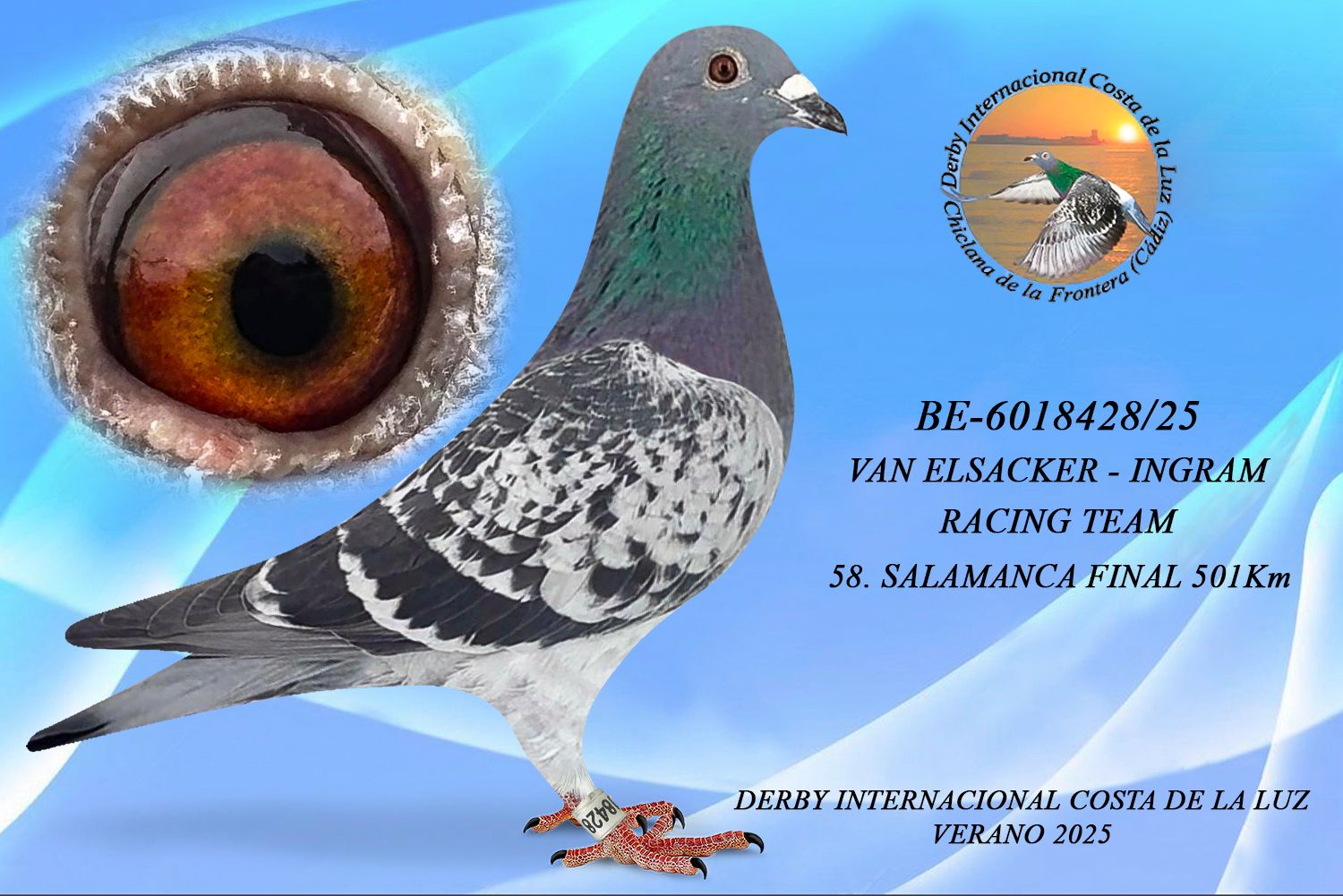 BE-6018428/25 - HEMBRA - VAN ELSACKER - INGRAM RACING TEAM - 58ª CLASIFICADA