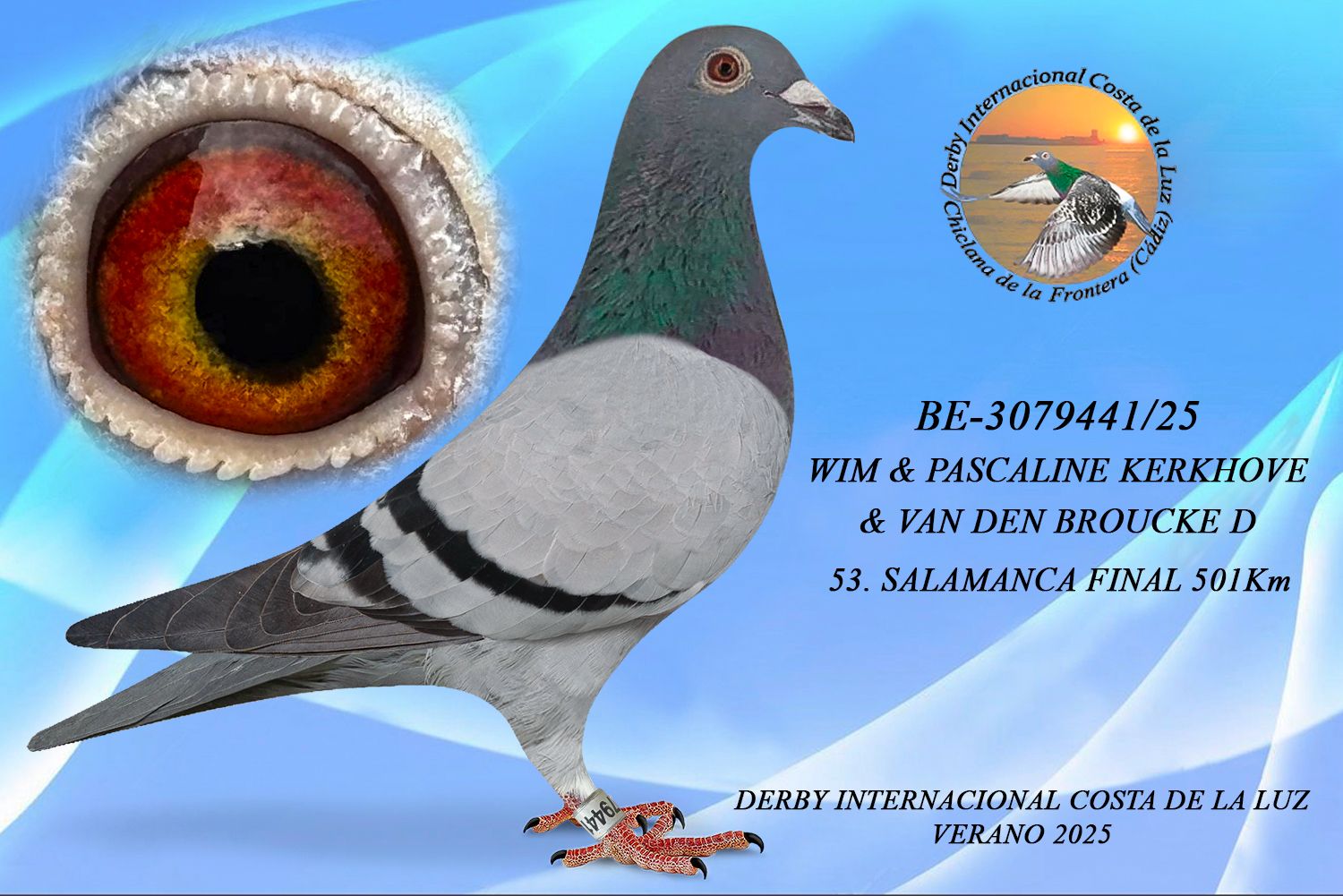 BE-3079441/25 -MACHO - WIM & PASCALINE KERKHOVE & VAN DEN BROUCKE -53ª CLASIFICADA