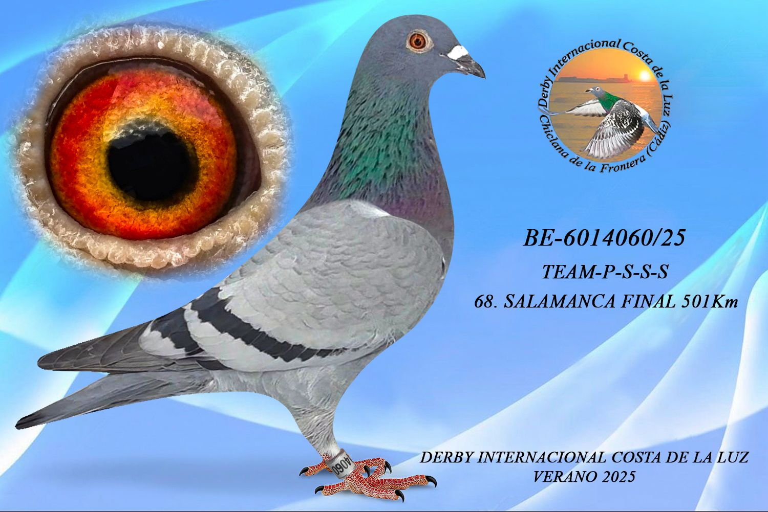 BE-6014060/25 - HEMBRA - HEMBRA - TEAM-P-S-S-S