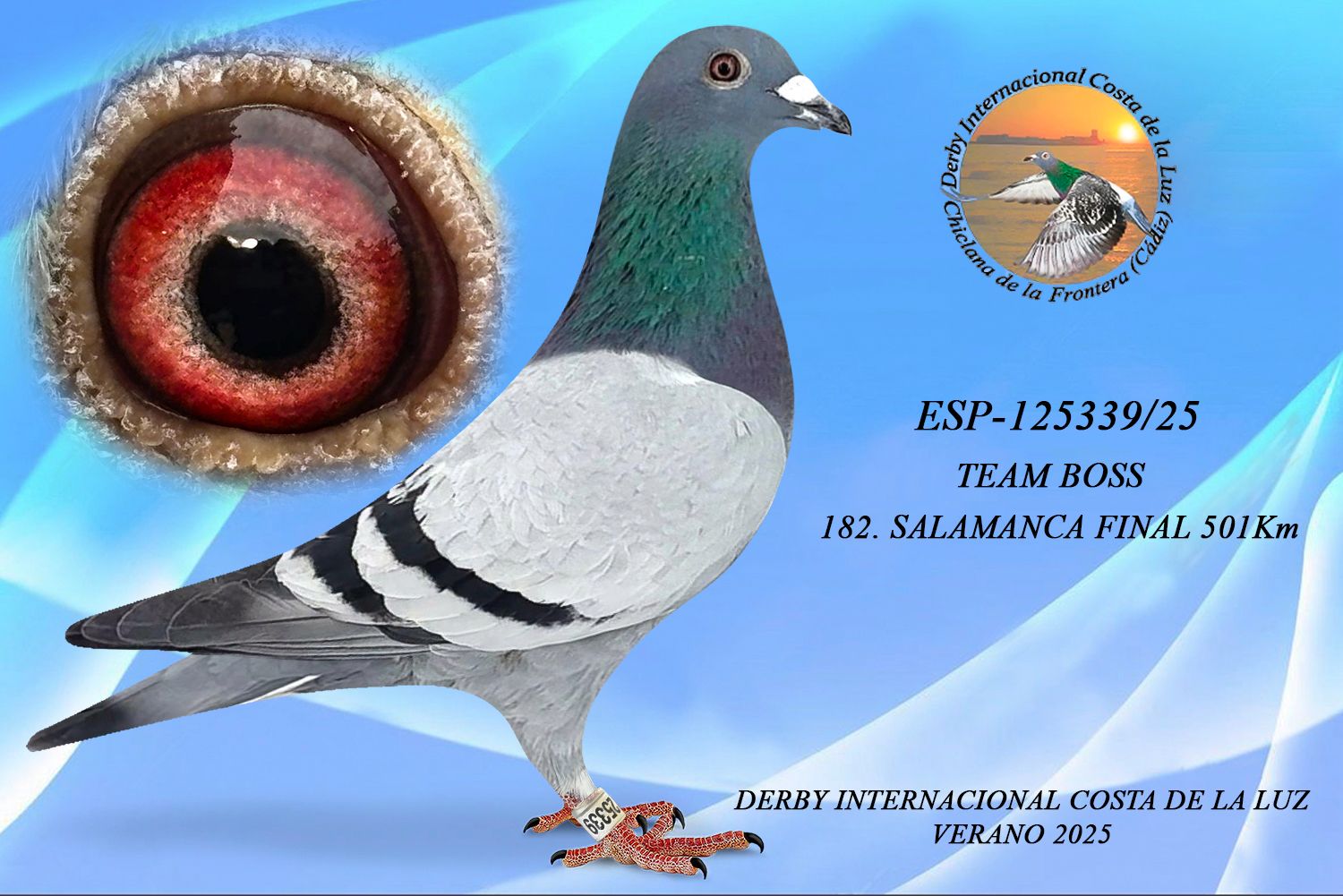 ESP-125339/25 - MACHO - TEAM BOSS - 182ª CLASIFICADA